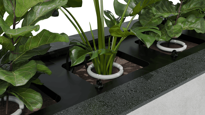 Flower Pot Basic - Detalhe 2