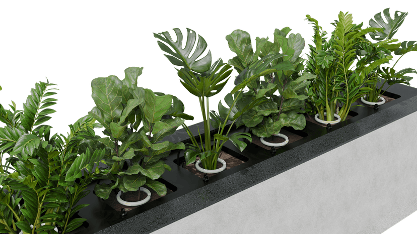 Flower Pot Basic - Detalhe 3