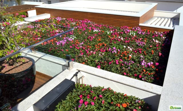 Telhado verde Roofgreen Eco - Projeto residencial sustentável