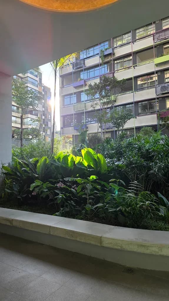 FLORESTA IPOJUCA 4