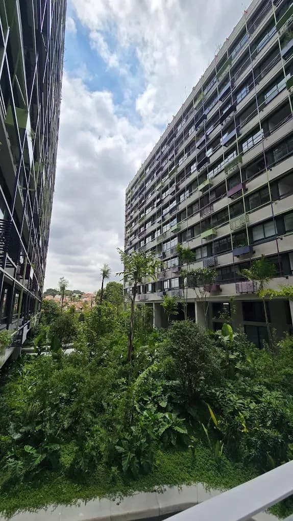 FLORESTA IPOJUCA 3
