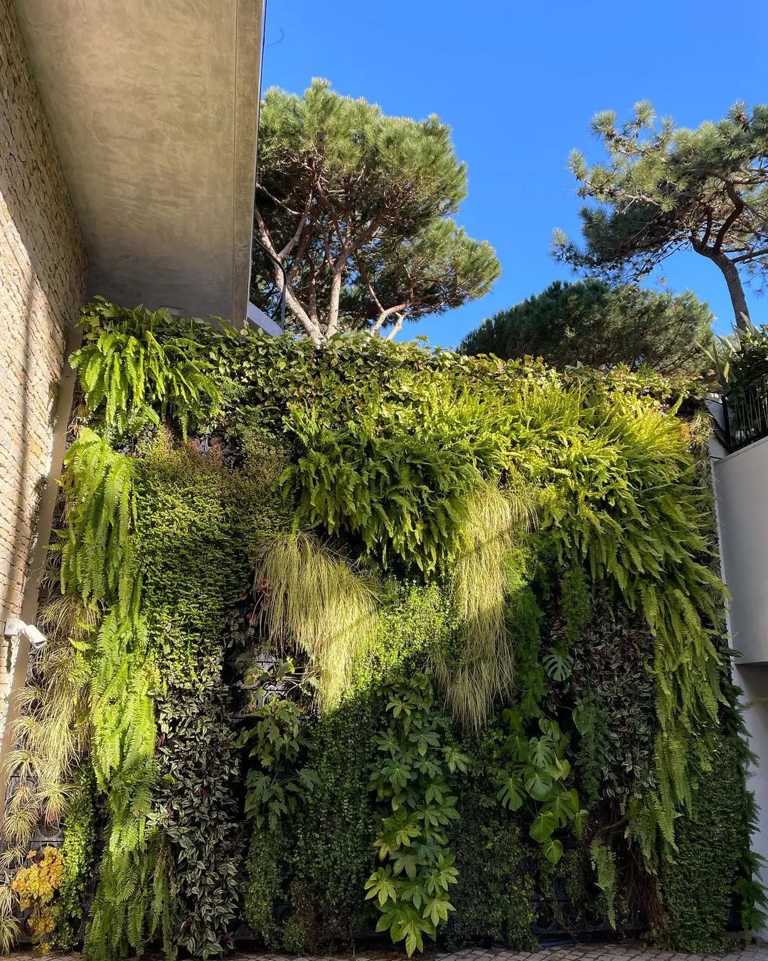 Jardim vertical Wallgreen Eco - Sistema completo instalado