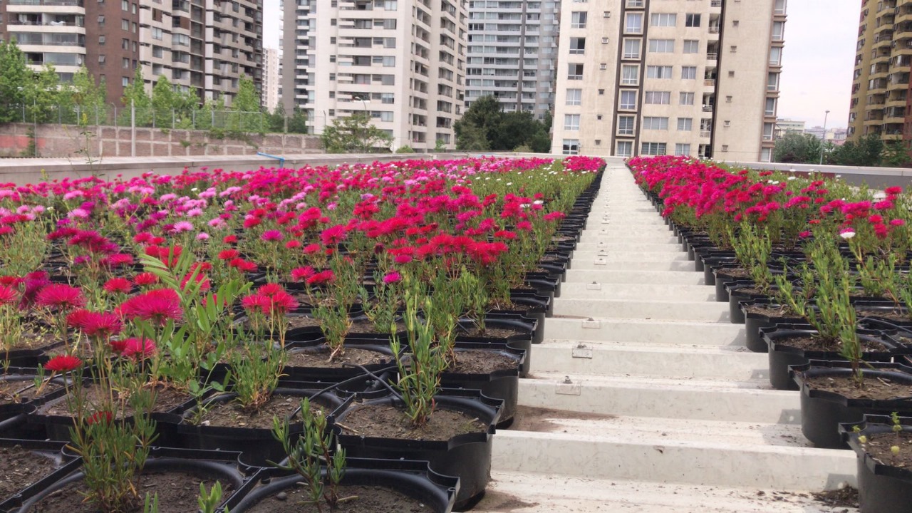 Projeto Roofgreen 5