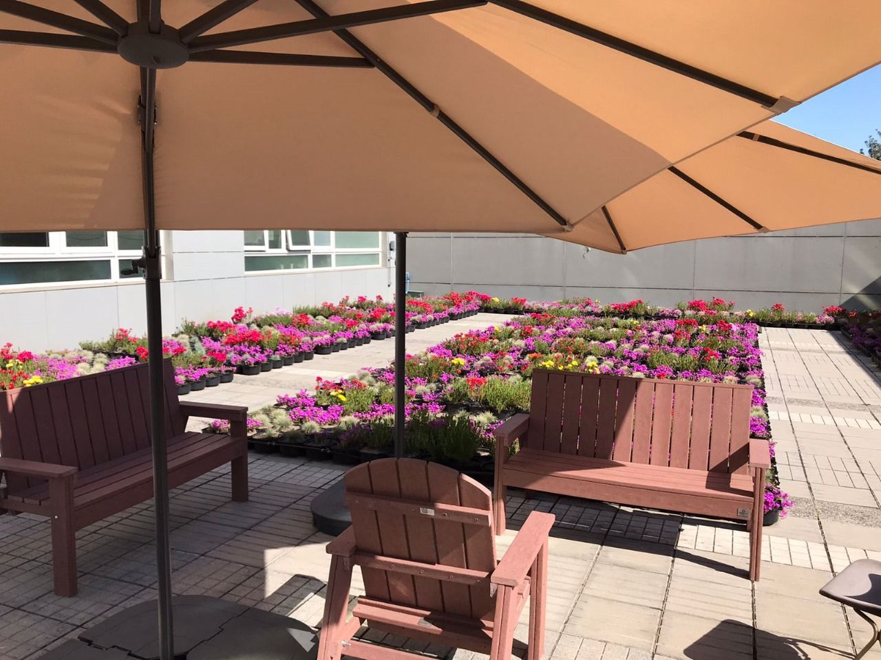 Telhado verde Roofgreen - Instalação completa