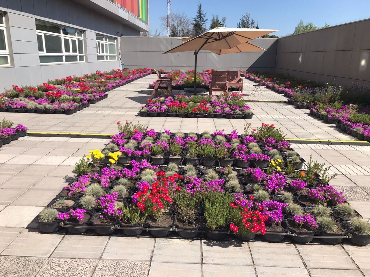 Sistema de telhado verde Roofgreen Eco