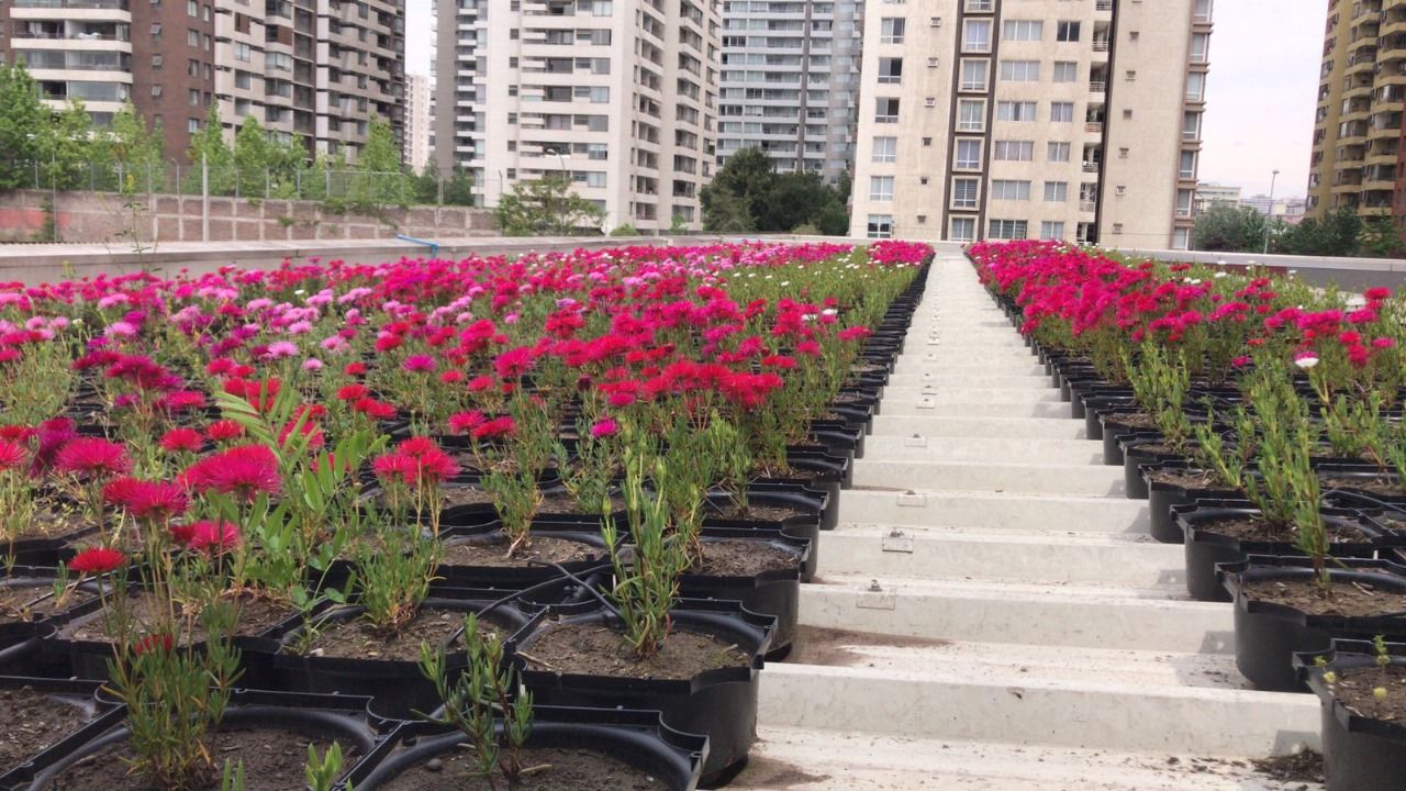 Sistema de irrigação Roofgreen