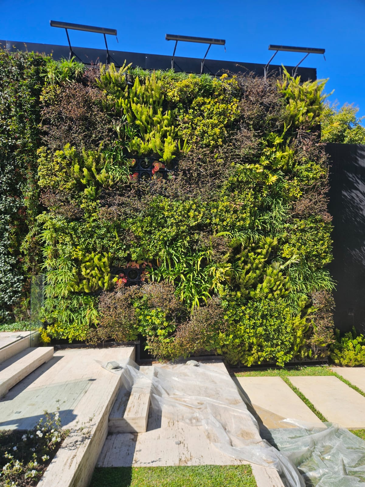 Sistema de Jardim Vertical Wallgreen - Módulos modulares com irrigação automática